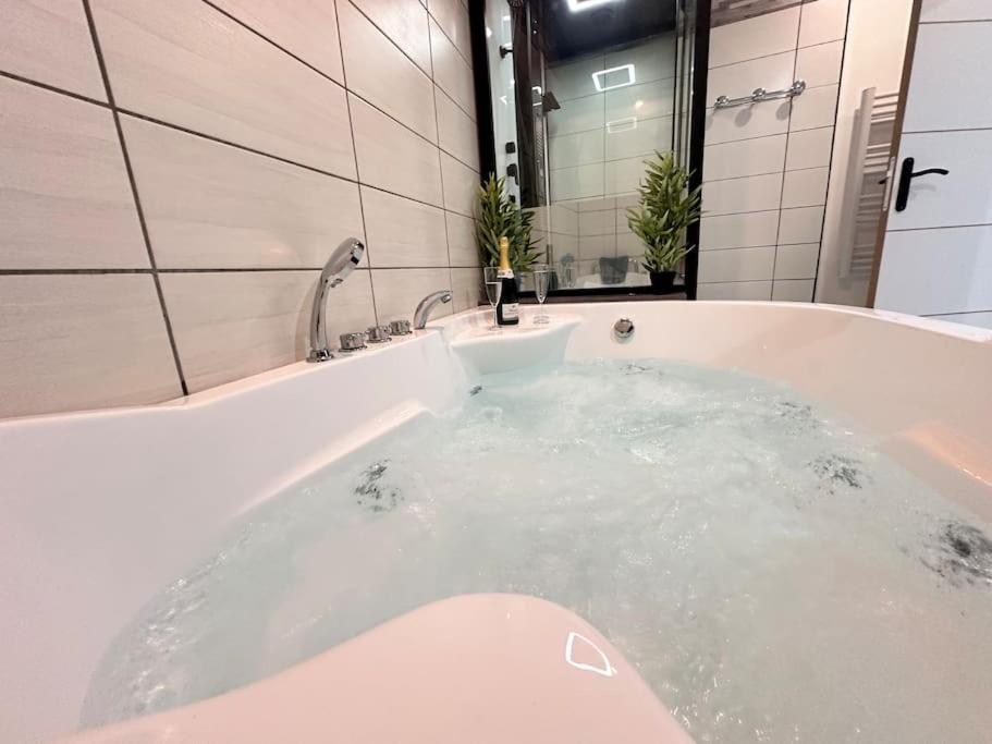 E Servagnat T3 Luxe Avec Sauna Jacuzzi Et Hammam Epernay Ngoại thất bức ảnh